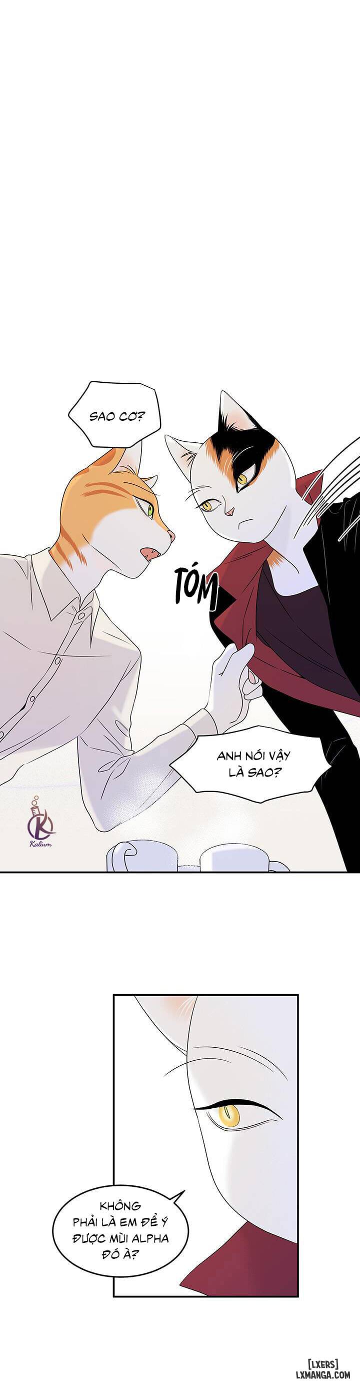 HentaiVN.net - Ảnh 21 - Dự án xanh - Chap 11