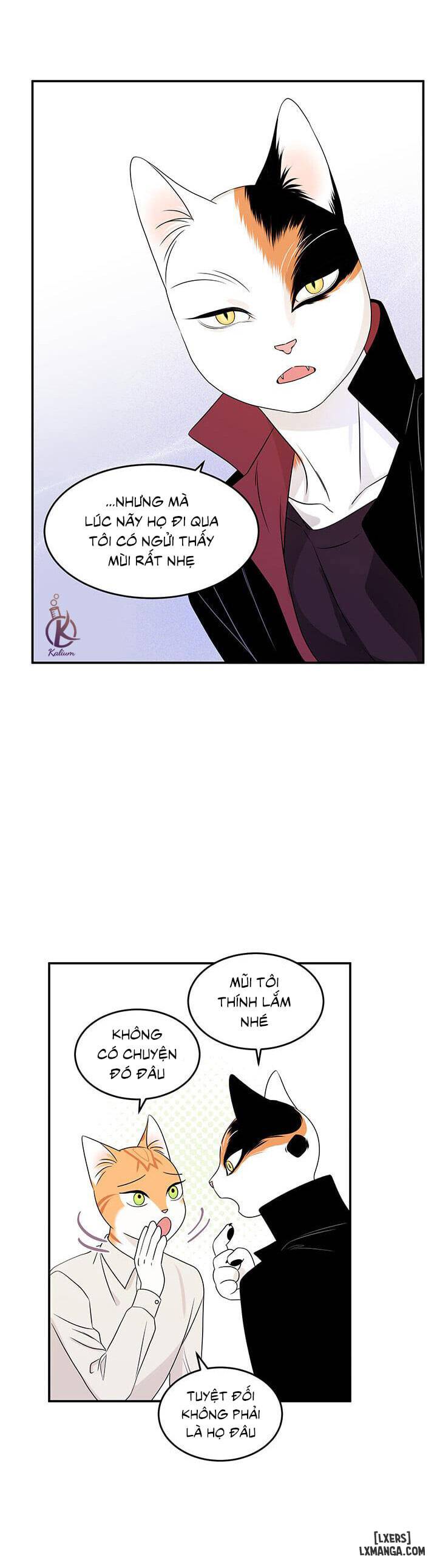 HentaiVN.net - Ảnh 23 - Dự án xanh - Chap 11