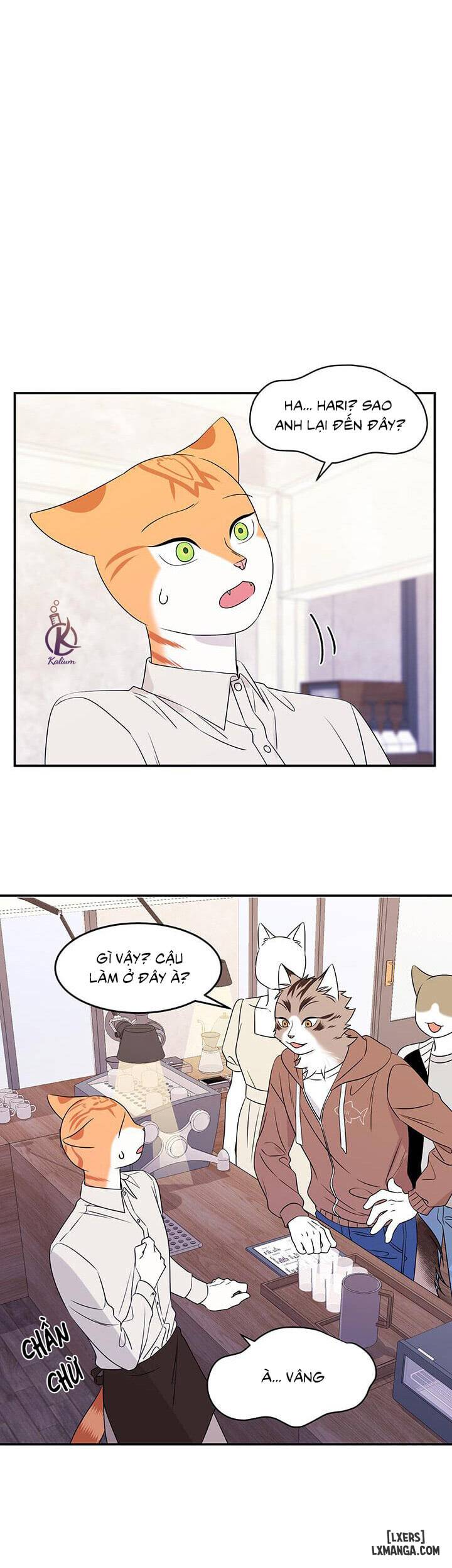 HentaiVN.net - Ảnh 4 - Dự án xanh - Chap 11