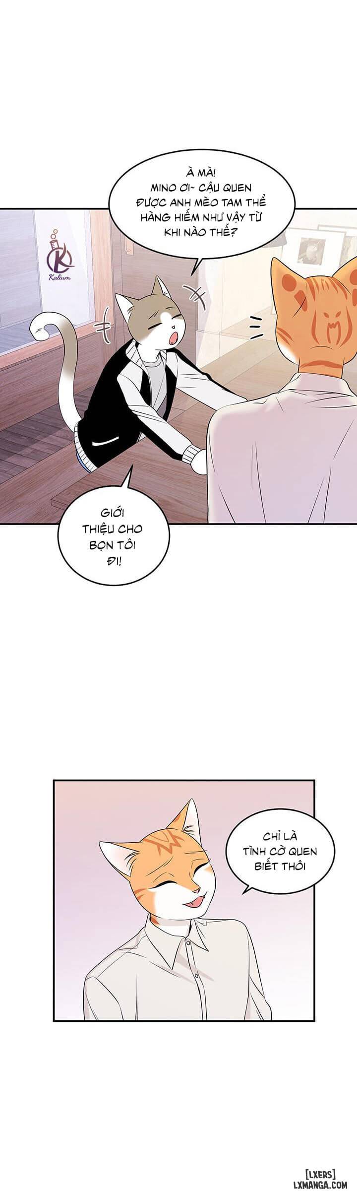 HentaiVN.net - Ảnh 5 - Dự án xanh - Chap 12