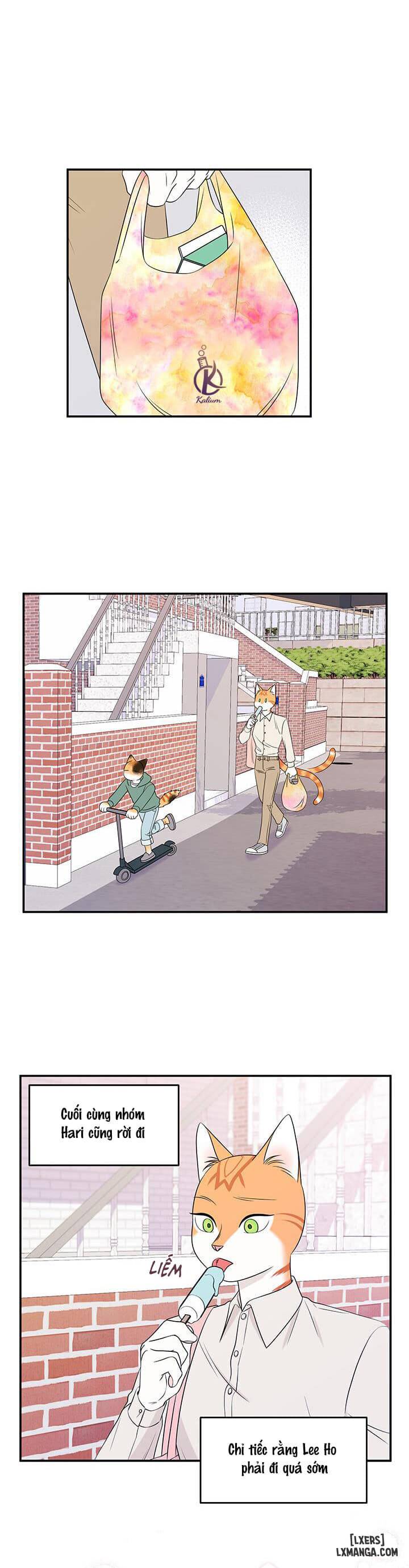 HentaiVN.net - Ảnh 8 - Dự án xanh - Chap 12