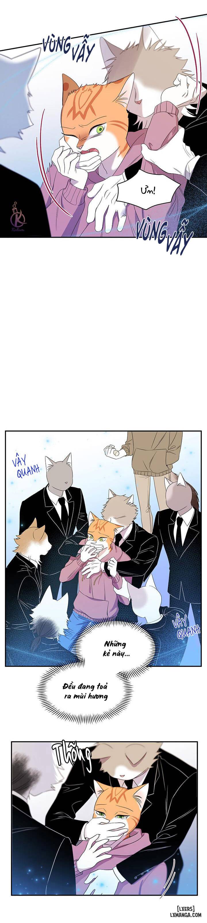 HentaiVN.net - Ảnh 15 - Dự án xanh - Chap 13