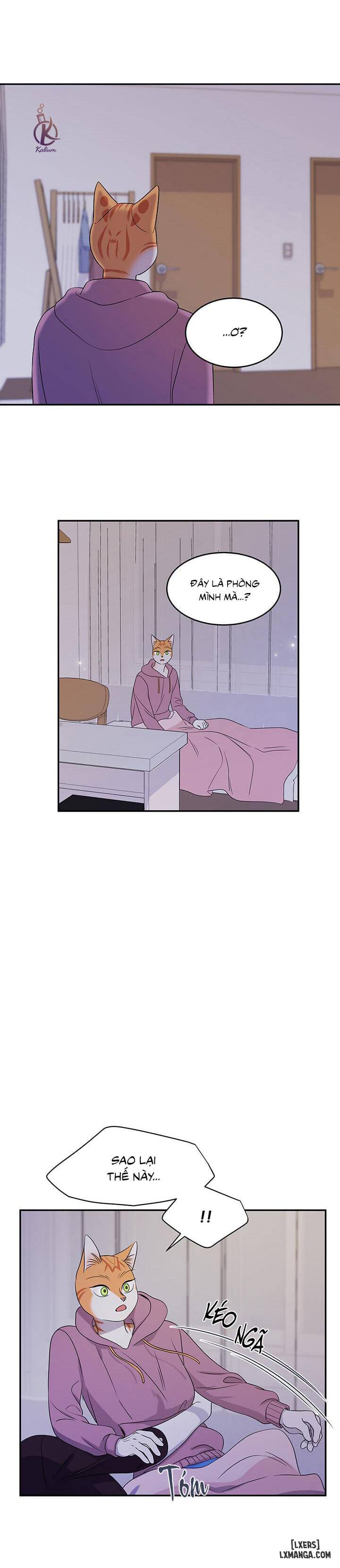 HentaiVN.net - Ảnh 16 - Dự án xanh - Chap 14