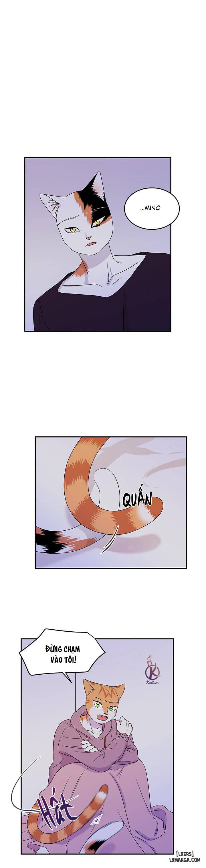 HentaiVN.net - Ảnh 23 - Dự án xanh - Chap 14