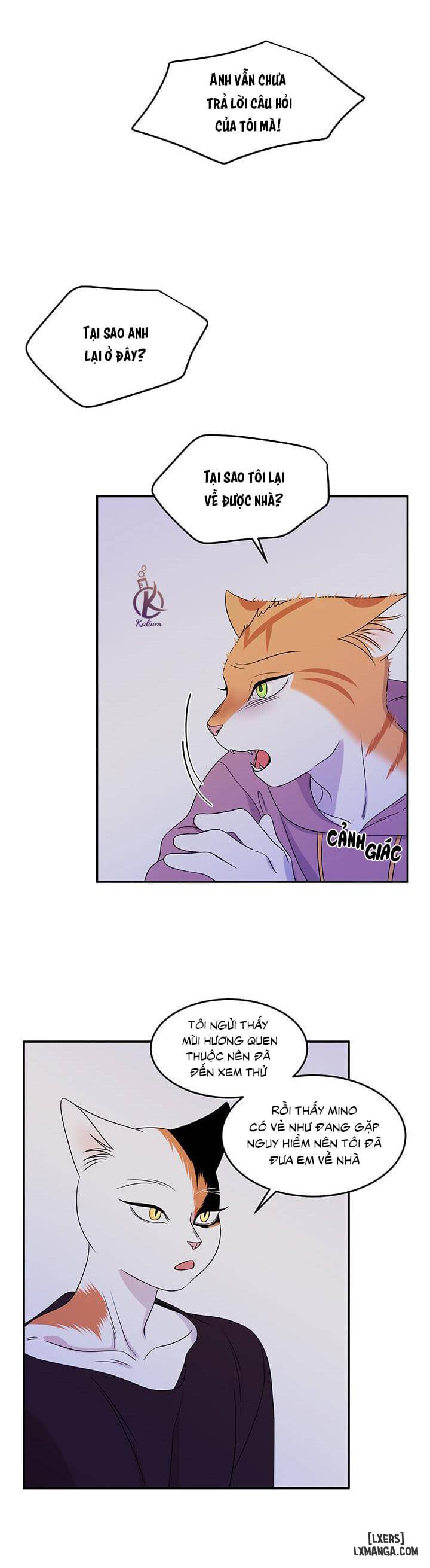 HentaiVN.net - Ảnh 24 - Dự án xanh - Chap 14