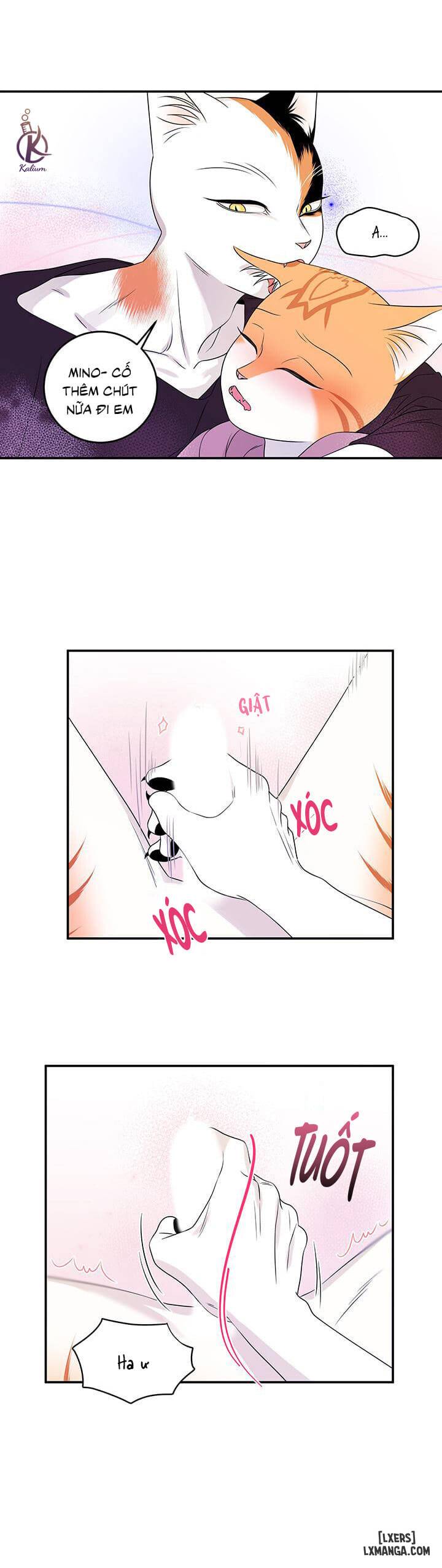HentaiVN.net - Ảnh 8 - Dự án xanh - Chap 14