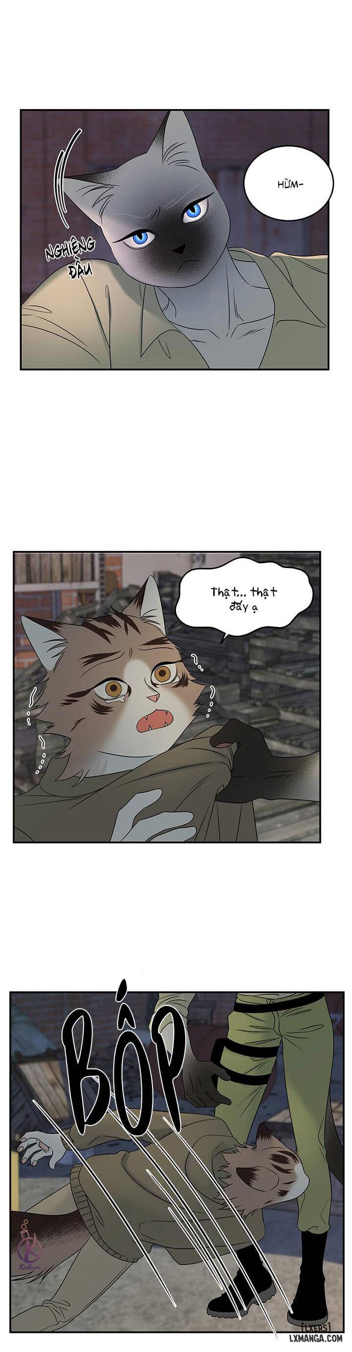 HentaiVN.net - Ảnh 10 - Dự án xanh - Chap 15