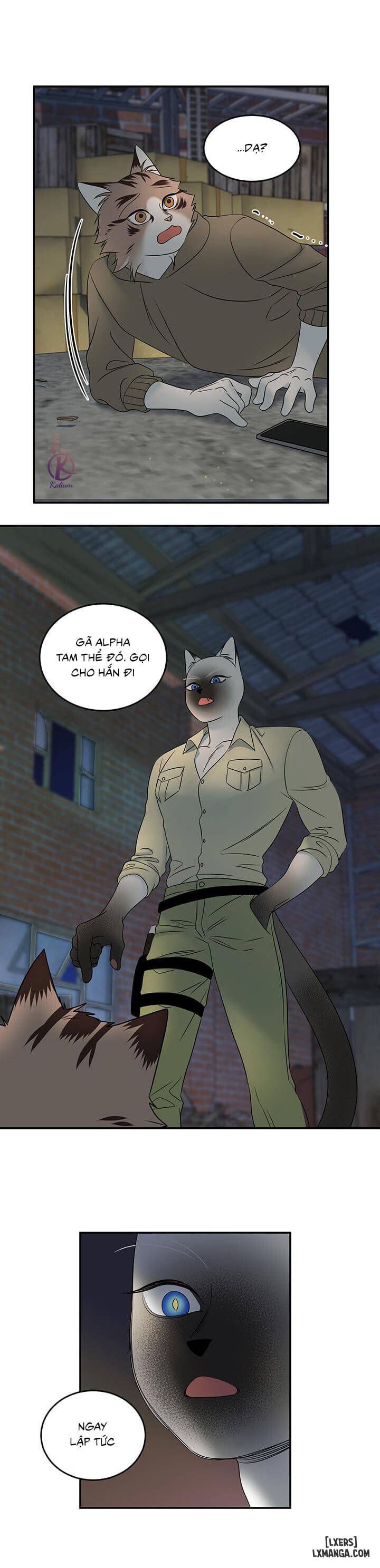 HentaiVN.net - Ảnh 12 - Dự án xanh - Chap 15