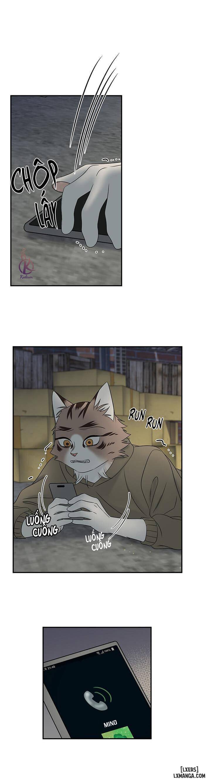 HentaiVN.net - Ảnh 13 - Dự án xanh - Chap 15