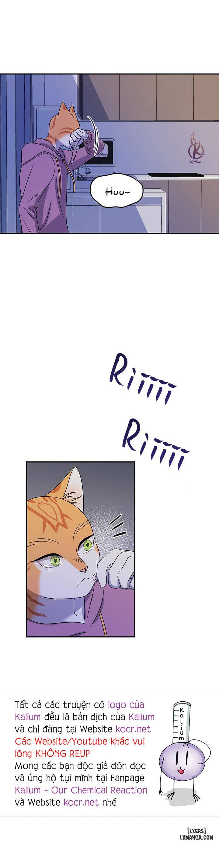 HentaiVN.net - Ảnh 28 - Dự án xanh - Chap 15