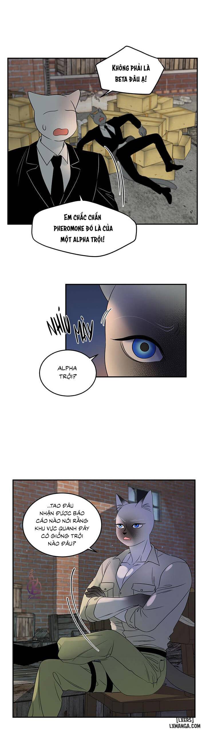 HentaiVN.net - Ảnh 6 - Dự án xanh - Chap 15