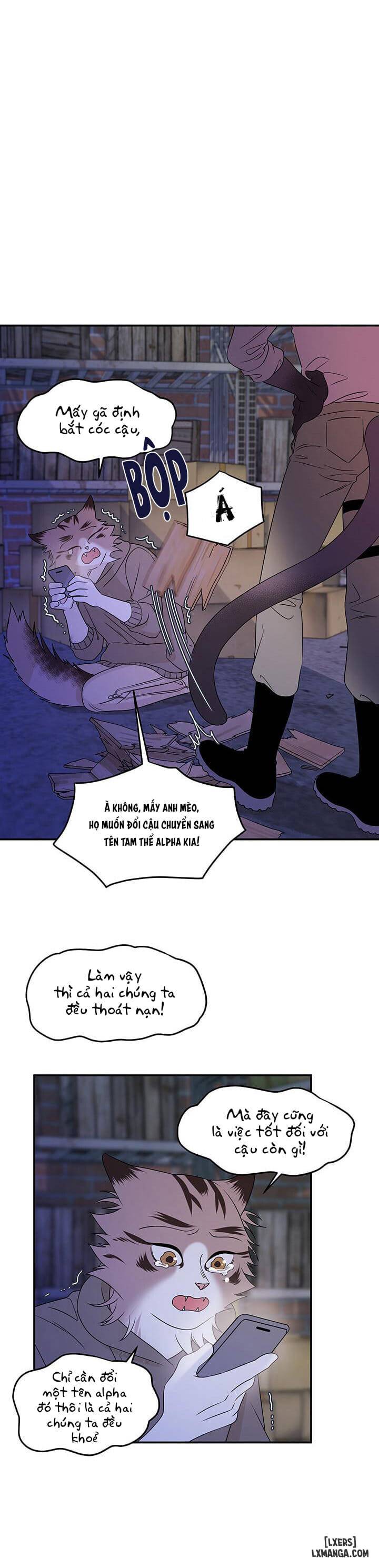 HentaiVN.net - Ảnh 10 - Dự án xanh - Chap 16