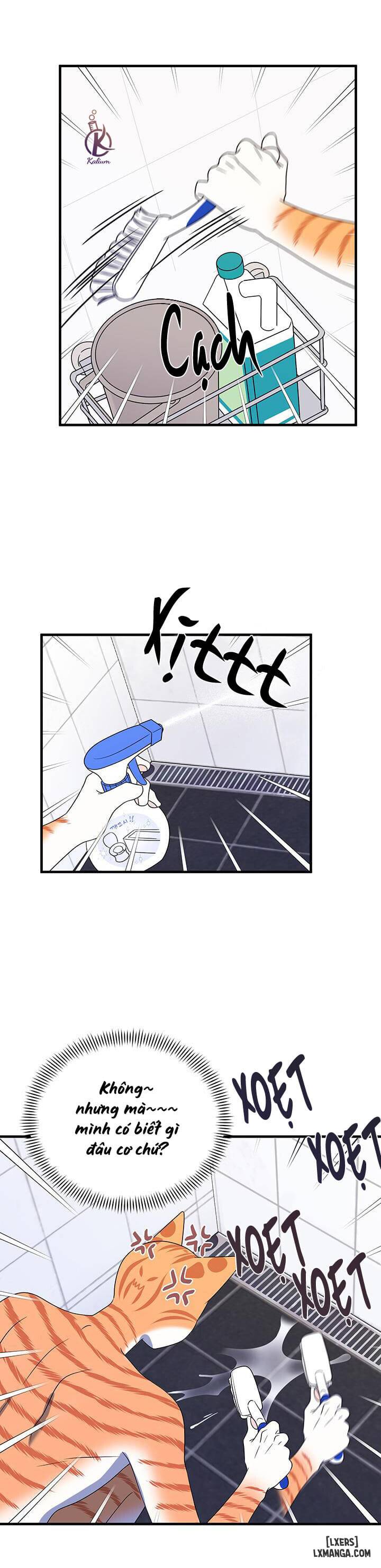 HentaiVN.net - Ảnh 19 - Dự án xanh - Chap 16