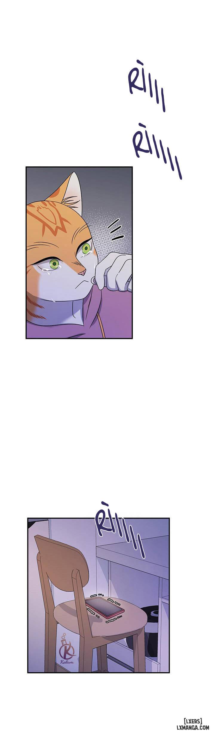 HentaiVN.net - Ảnh 6 - Dự án xanh - Chap 16
