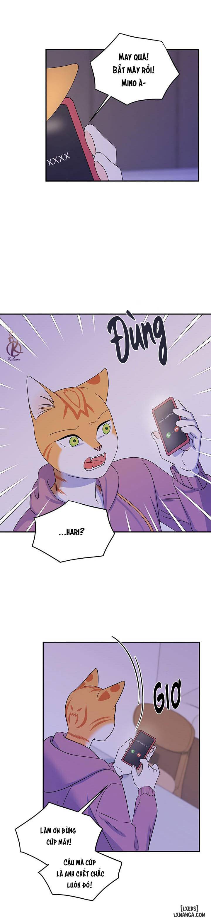 HentaiVN.net - Ảnh 8 - Dự án xanh - Chap 16