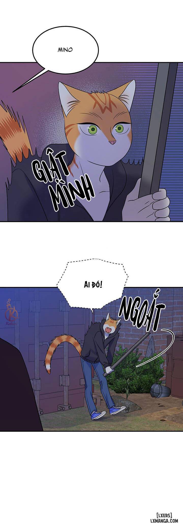 HentaiVN.net - Ảnh 11 - Dự án xanh - Chap 17