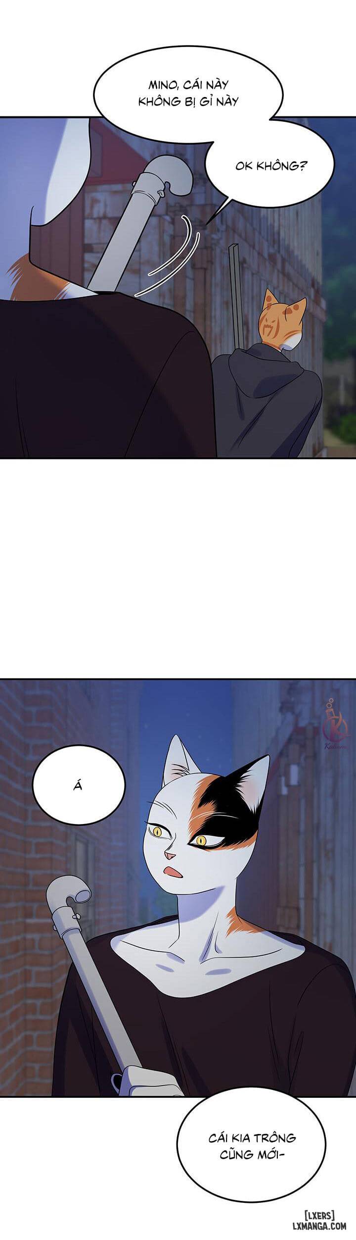 HentaiVN.net - Ảnh 18 - Dự án xanh - Chap 17