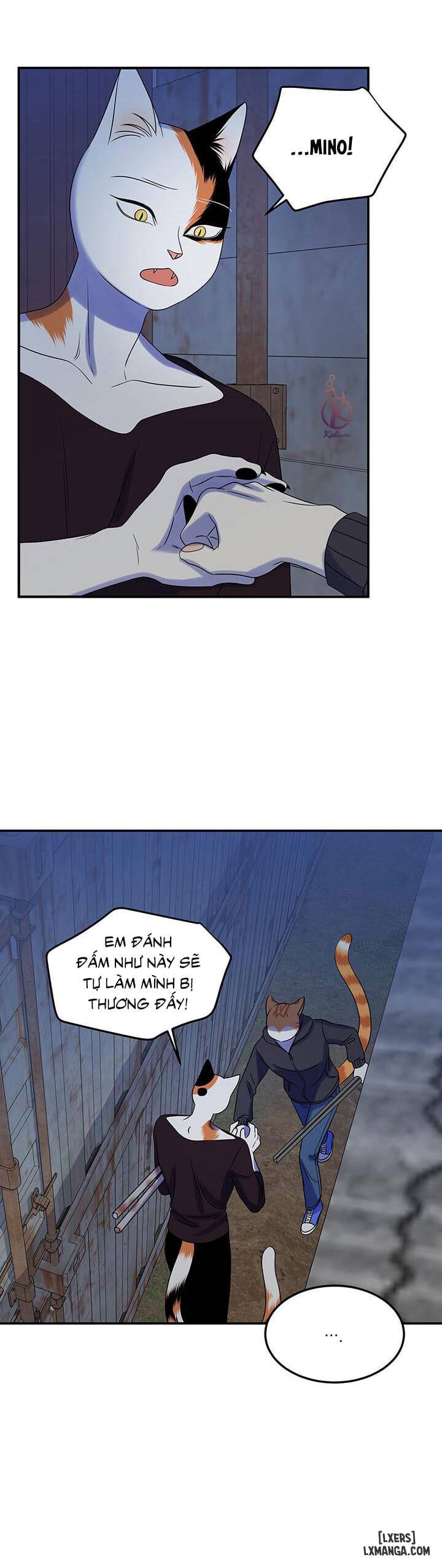 HentaiVN.net - Ảnh 20 - Dự án xanh - Chap 17