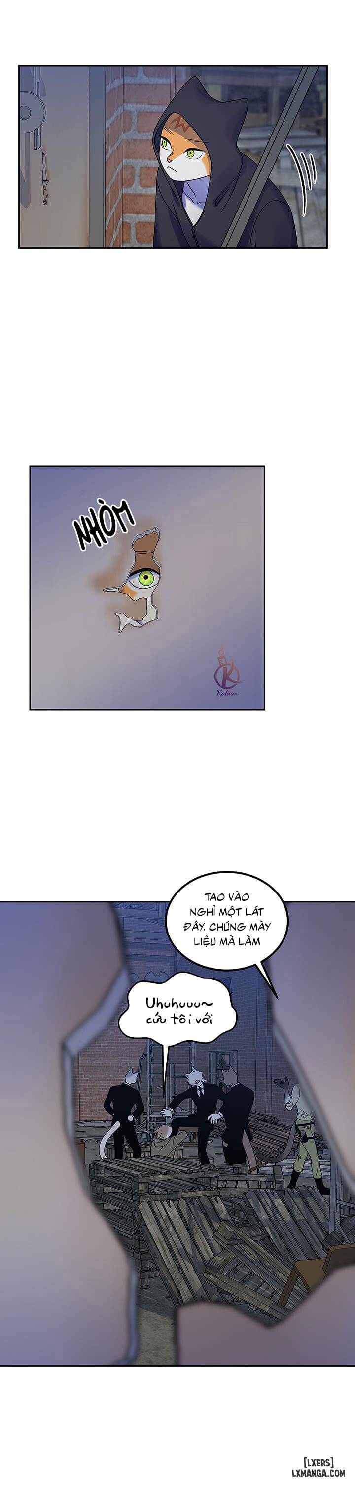 HentaiVN.net - Ảnh 23 - Dự án xanh - Chap 17