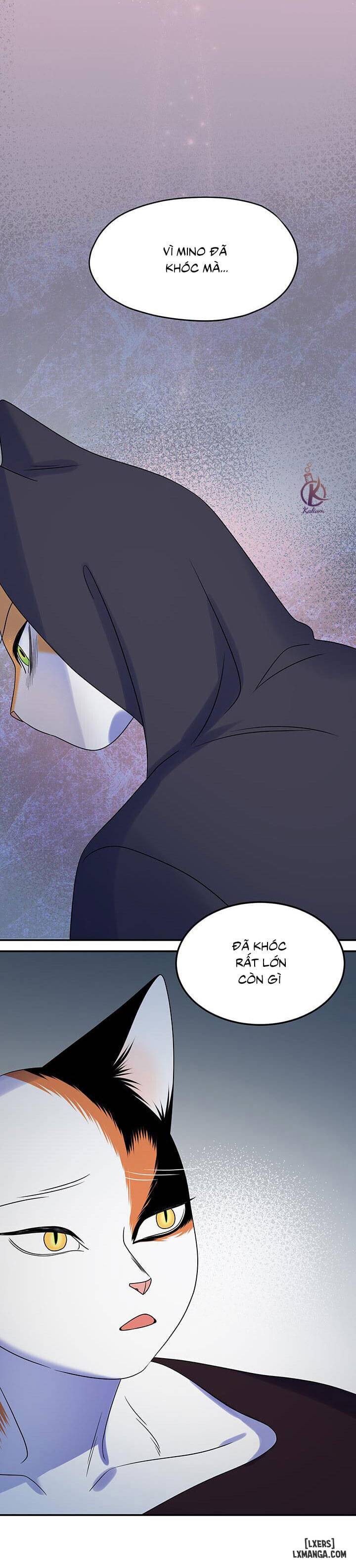 HentaiVN.net - Ảnh 28 - Dự án xanh - Chap 17
