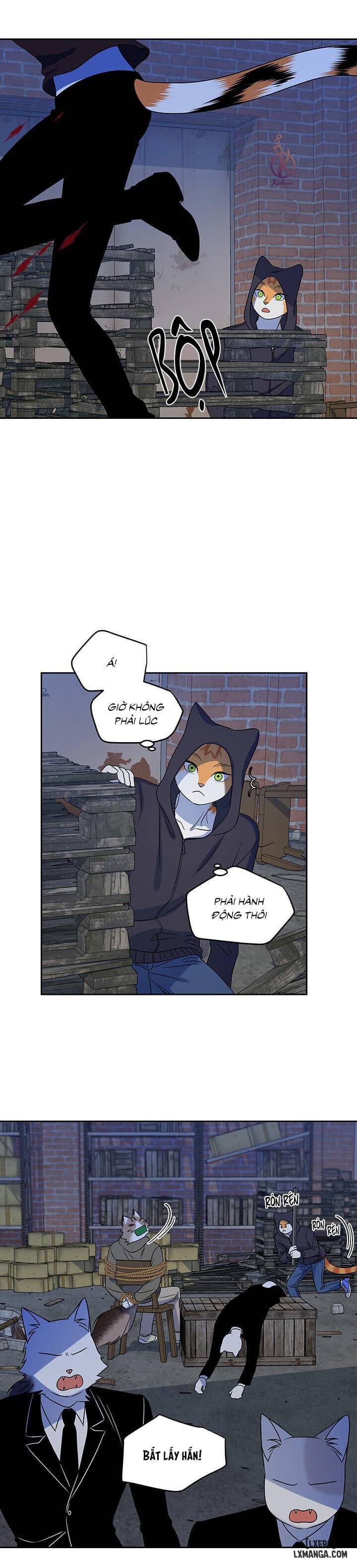 HentaiVN.net - Ảnh 14 - Dự án xanh - Chap 18