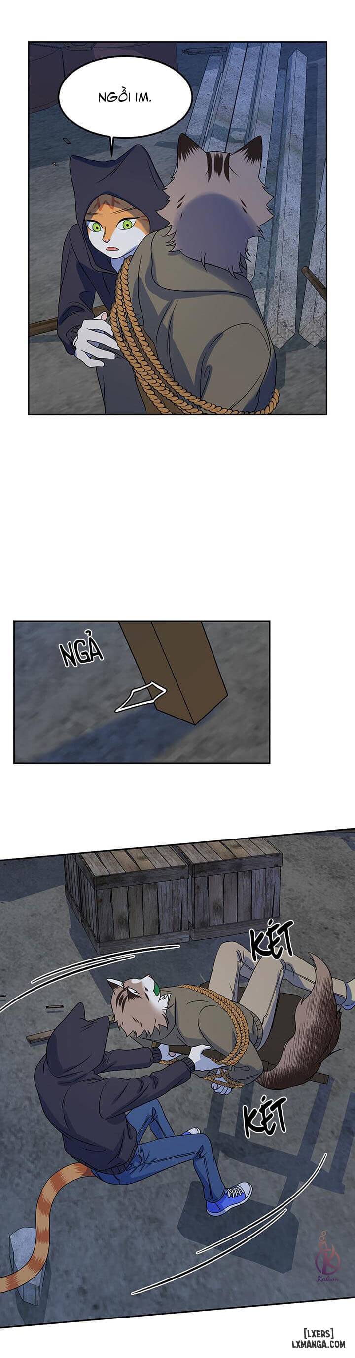 HentaiVN.net - Ảnh 16 - Dự án xanh - Chap 18