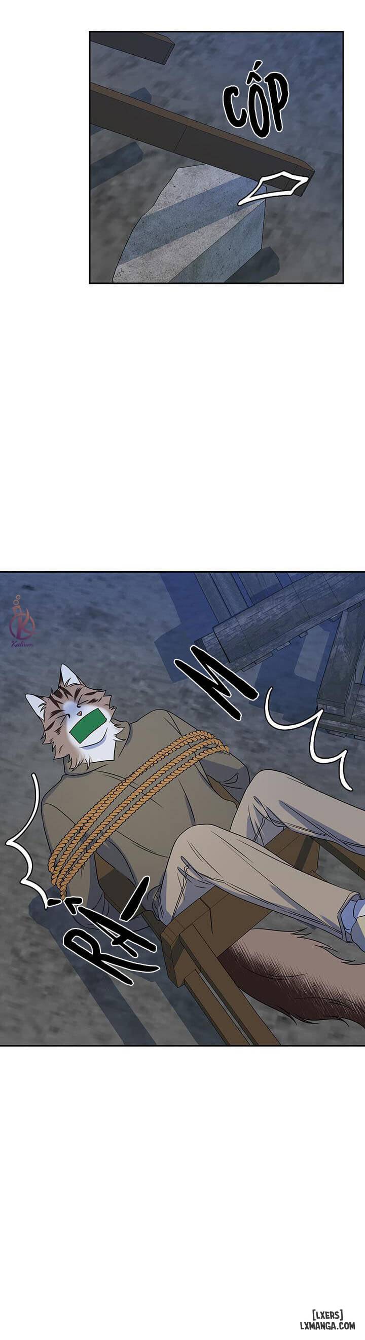 HentaiVN.net - Ảnh 17 - Dự án xanh - Chap 18