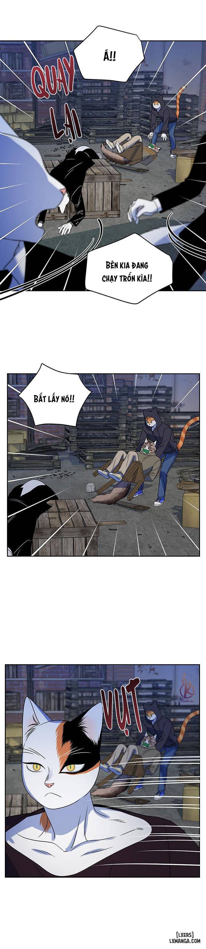 HentaiVN.net - Ảnh 18 - Dự án xanh - Chap 18