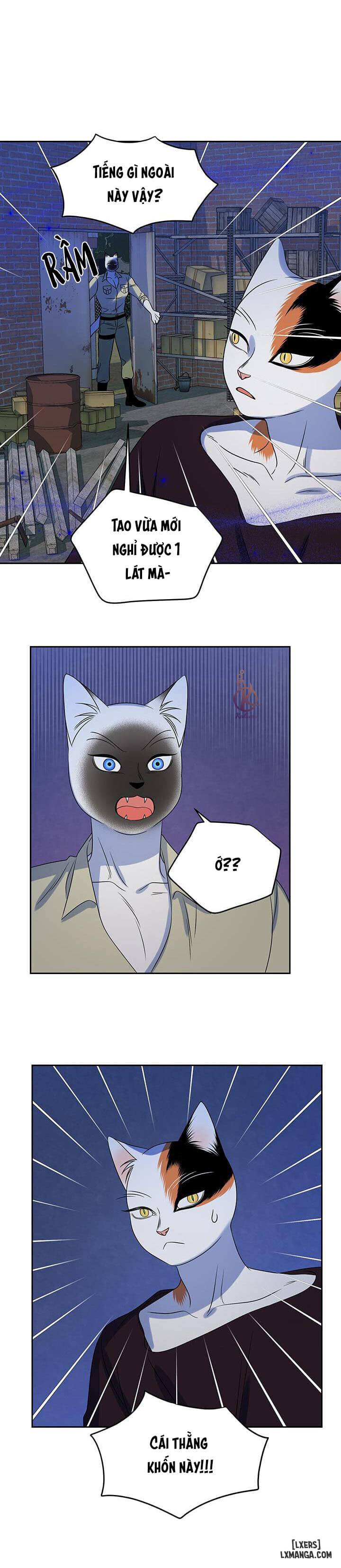 HentaiVN.net - Ảnh 21 - Dự án xanh - Chap 18