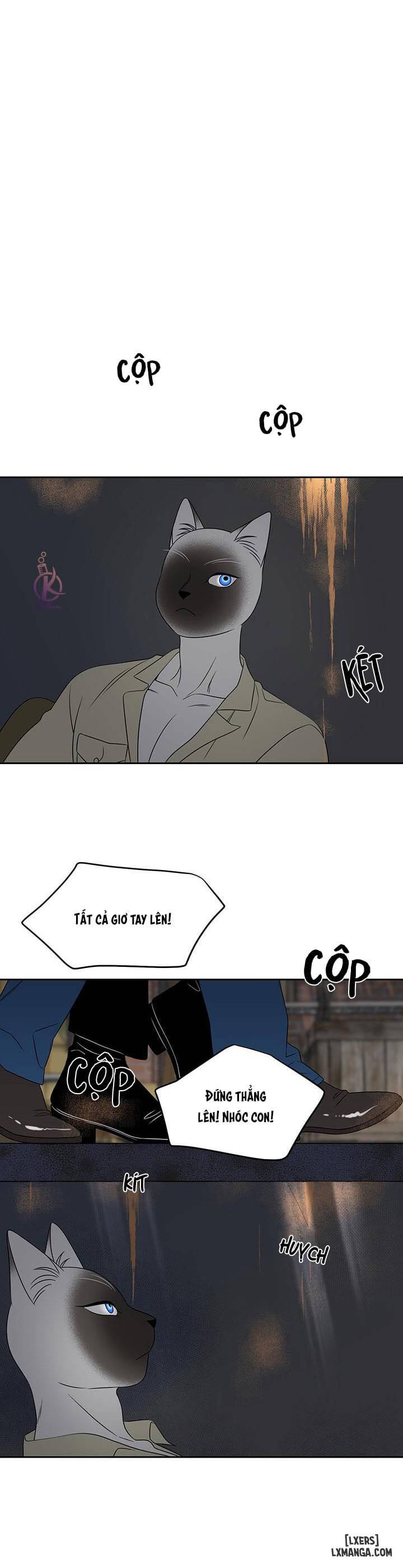 HentaiVN.net - Ảnh 18 - Dự án xanh - Chap 19