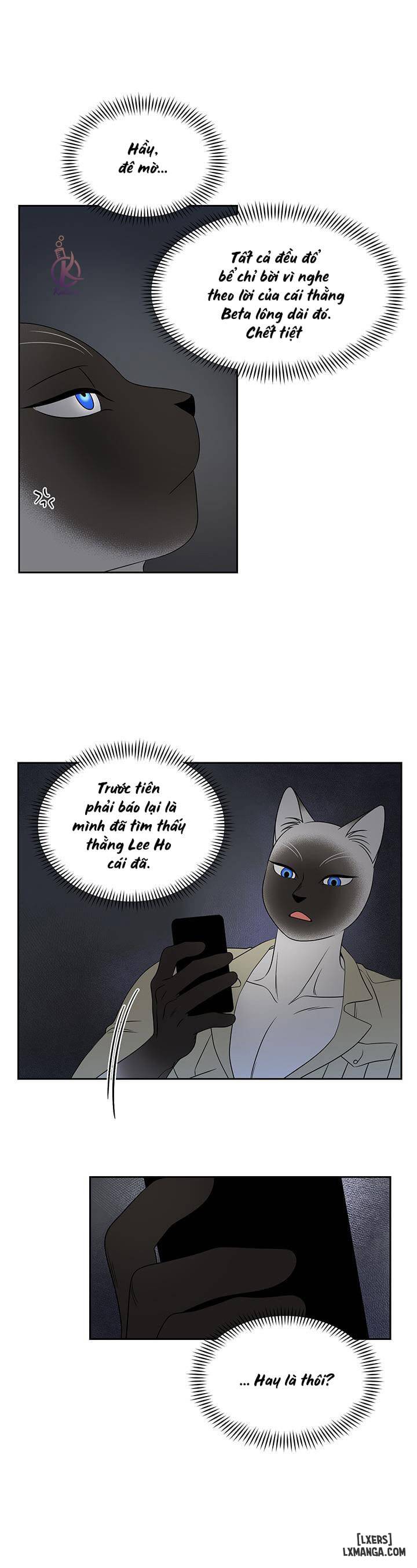 HentaiVN.net - Ảnh 19 - Dự án xanh - Chap 19