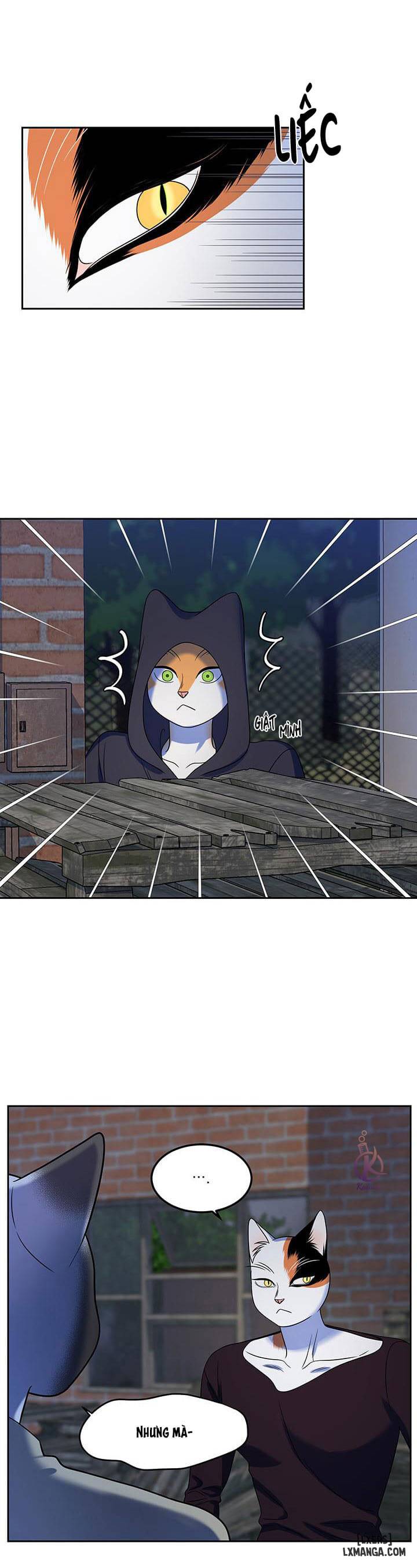 HentaiVN.net - Ảnh 7 - Dự án xanh - Chap 19