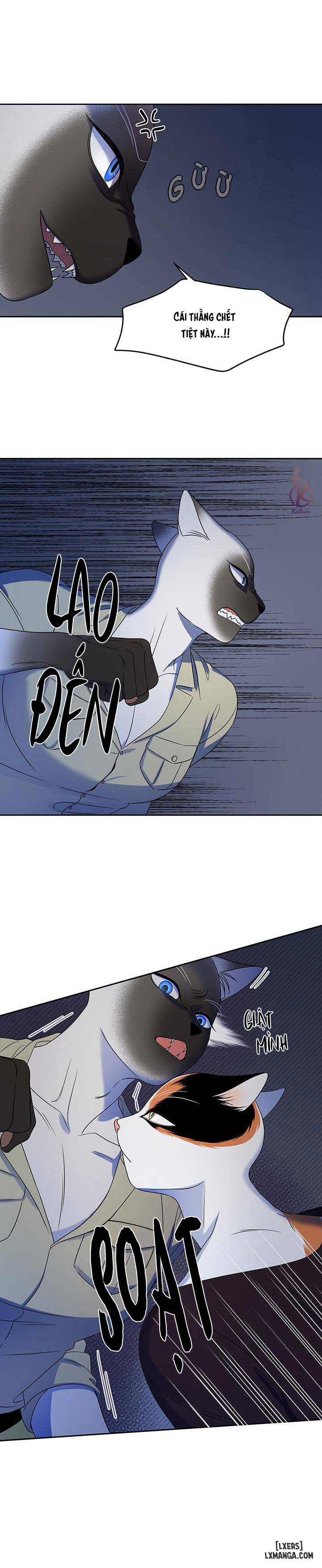 HentaiVN.net - Ảnh 9 - Dự án xanh - Chap 19