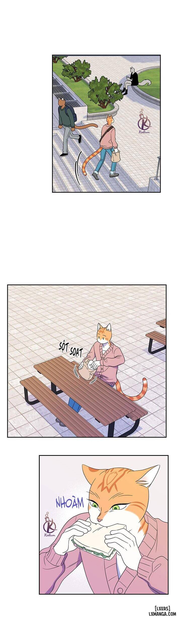 HentaiVN.net - Ảnh 10 - Dự án xanh - Chap 20