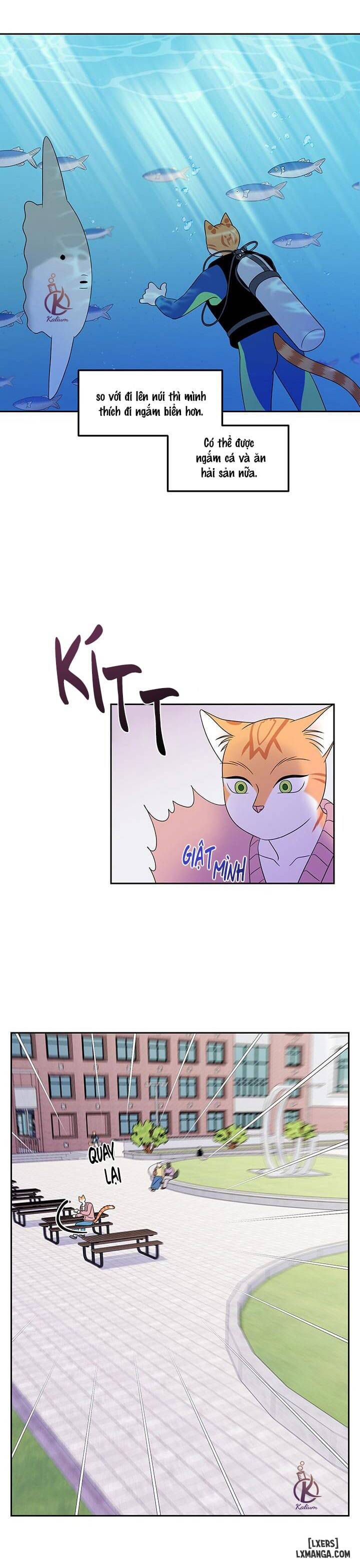 HentaiVN.net - Ảnh 12 - Dự án xanh - Chap 20