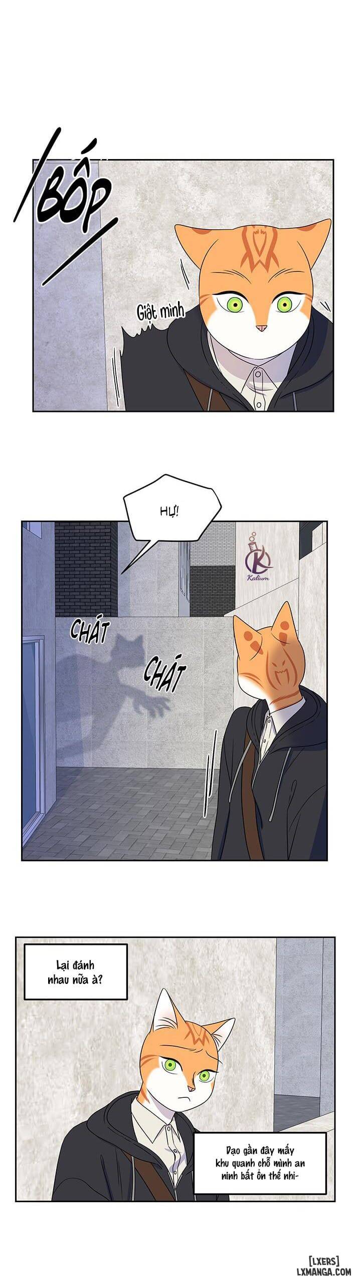 HentaiVN.net - Ảnh 15 - Dự án xanh - Chap 21