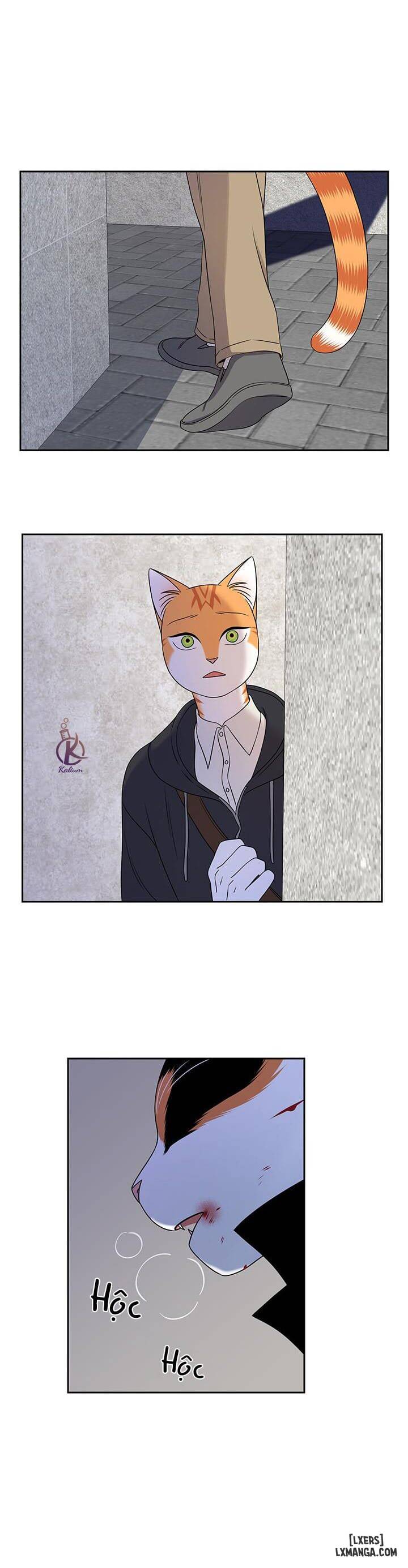 HentaiVN.net - Ảnh 18 - Dự án xanh - Chap 21