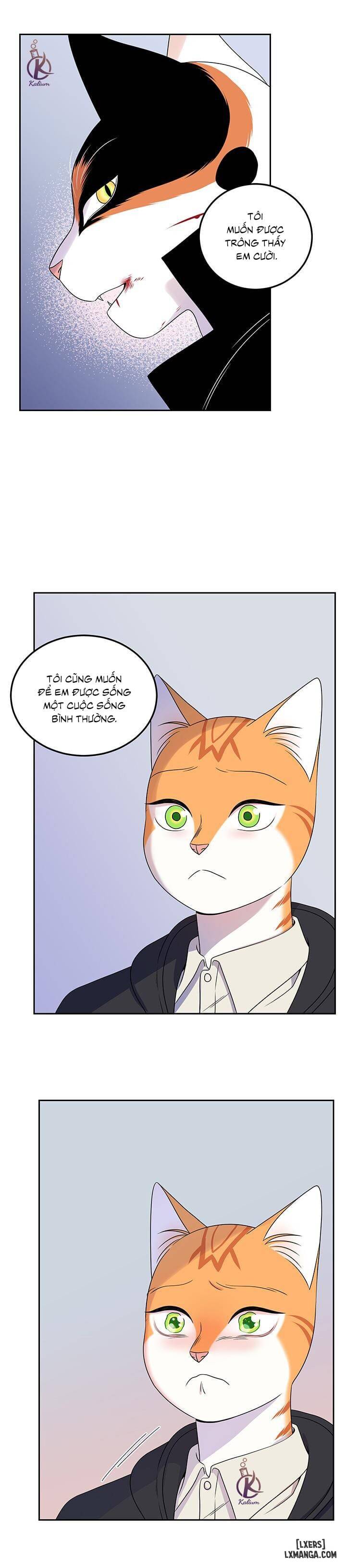 HentaiVN.net - Ảnh 25 - Dự án xanh - Chap 21