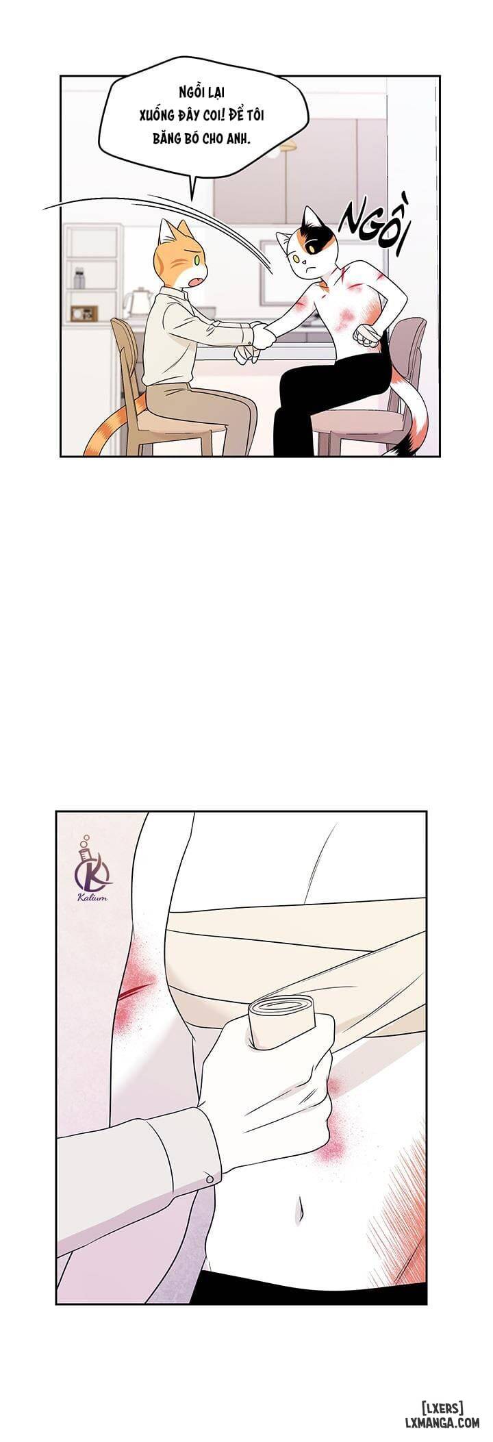 HentaiVN.net - Ảnh 10 - Dự án xanh - Chap 22