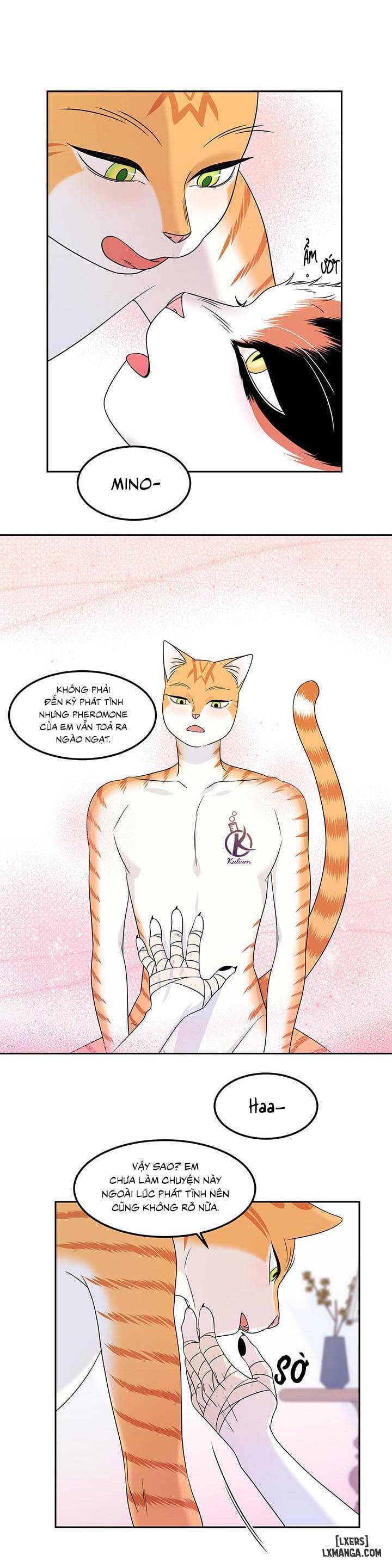 HentaiVN.net - Ảnh 17 - Dự án xanh - Chap 22
