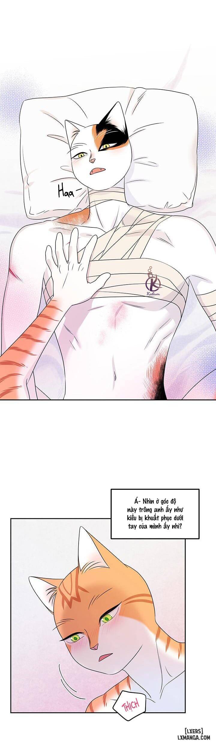 HentaiVN.net - Ảnh 20 - Dự án xanh - Chap 22