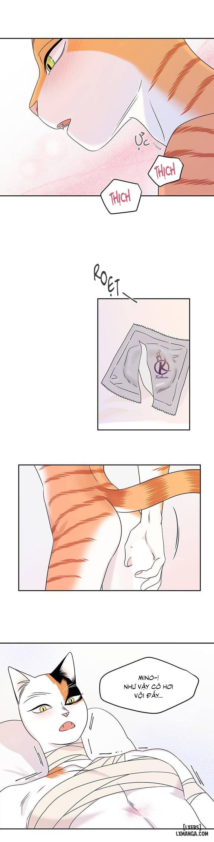 HentaiVN.net - Ảnh 22 - Dự án xanh - Chap 22