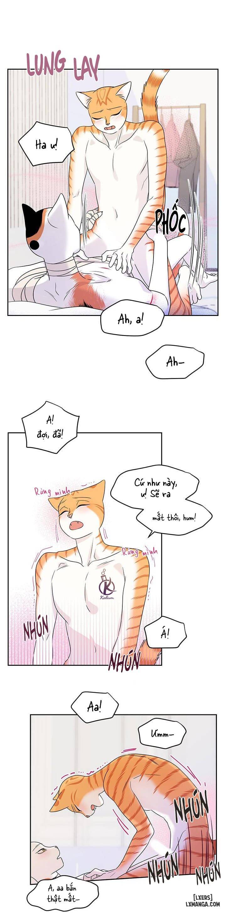 HentaiVN.net - Ảnh 25 - Dự án xanh - Chap 22