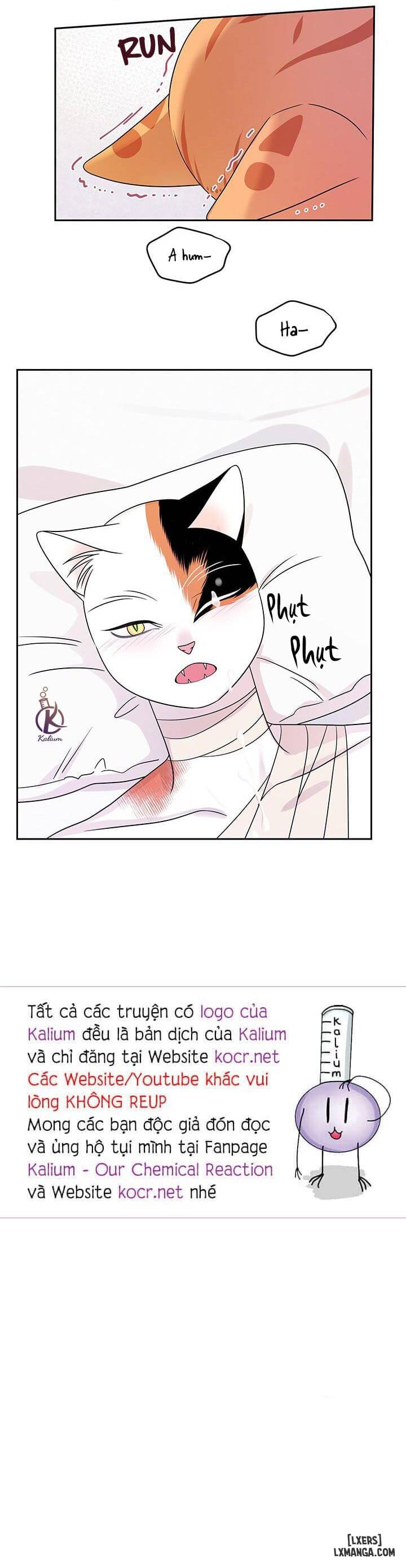 HentaiVN.net - Ảnh 26 - Dự án xanh - Chap 22