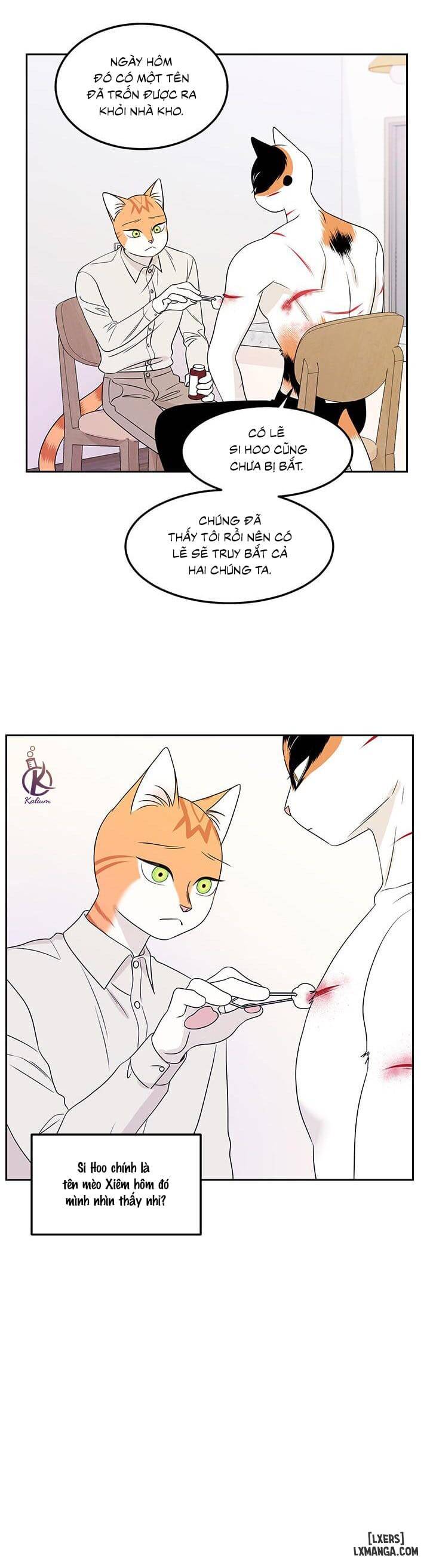 HentaiVN.net - Ảnh 4 - Dự án xanh - Chap 22