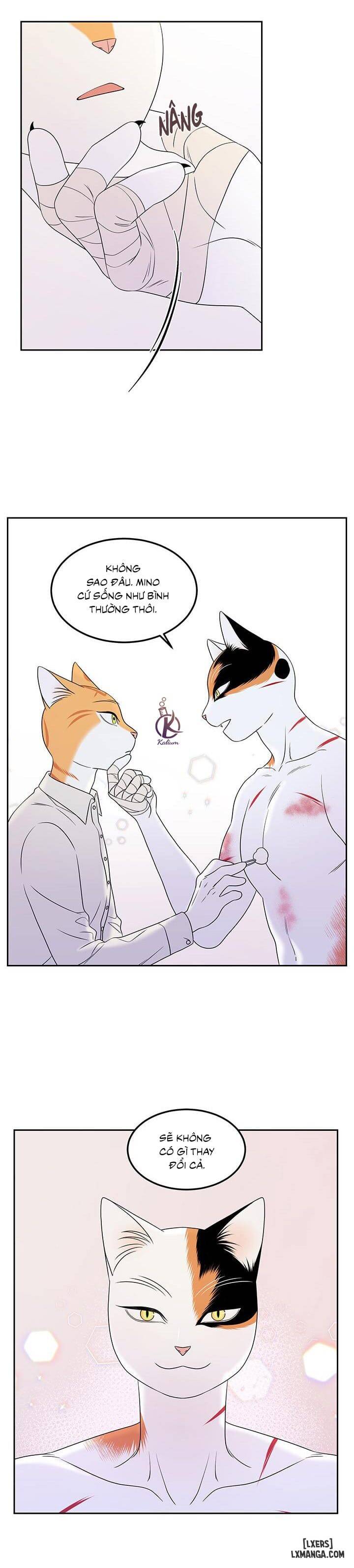 HentaiVN.net - Ảnh 5 - Dự án xanh - Chap 22