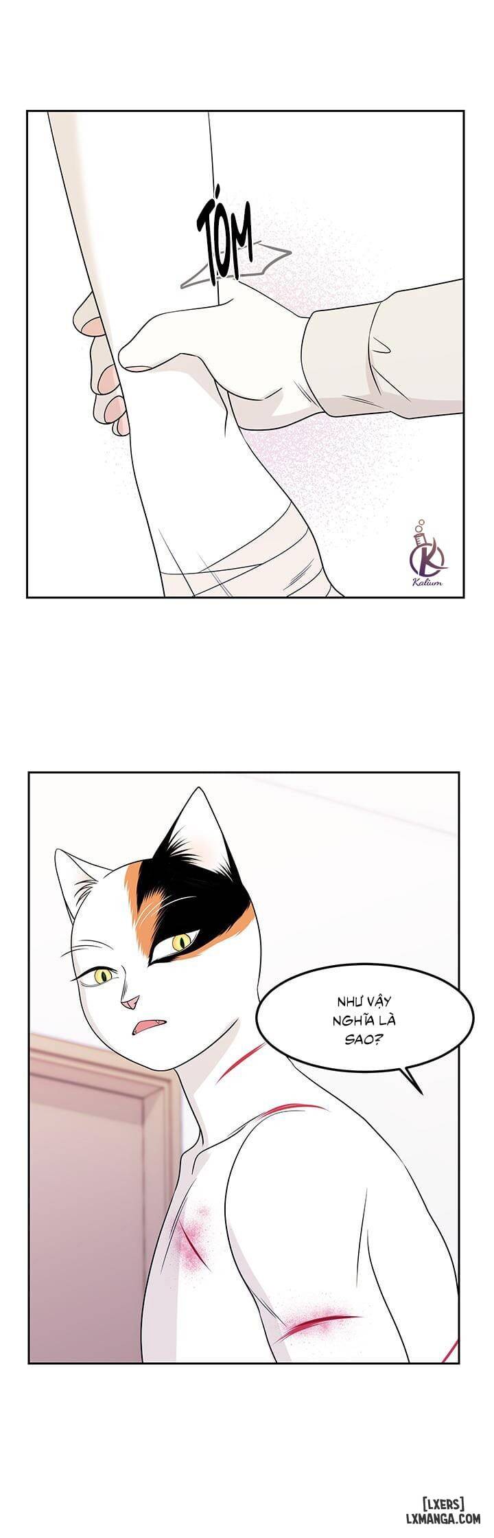 HentaiVN.net - Ảnh 7 - Dự án xanh - Chap 22