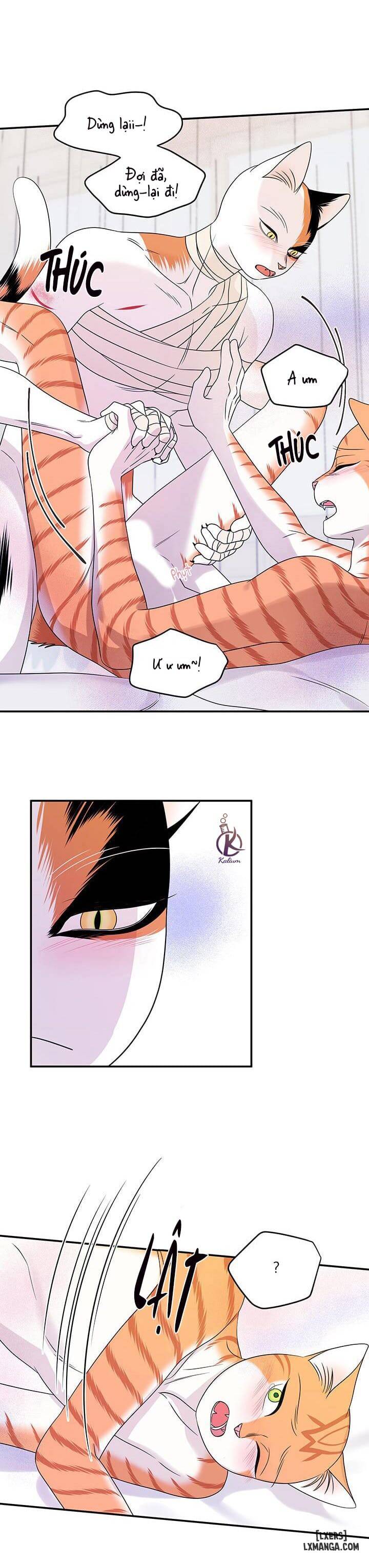 HentaiVN.net - Ảnh 11 - Dự án xanh - Chap 23