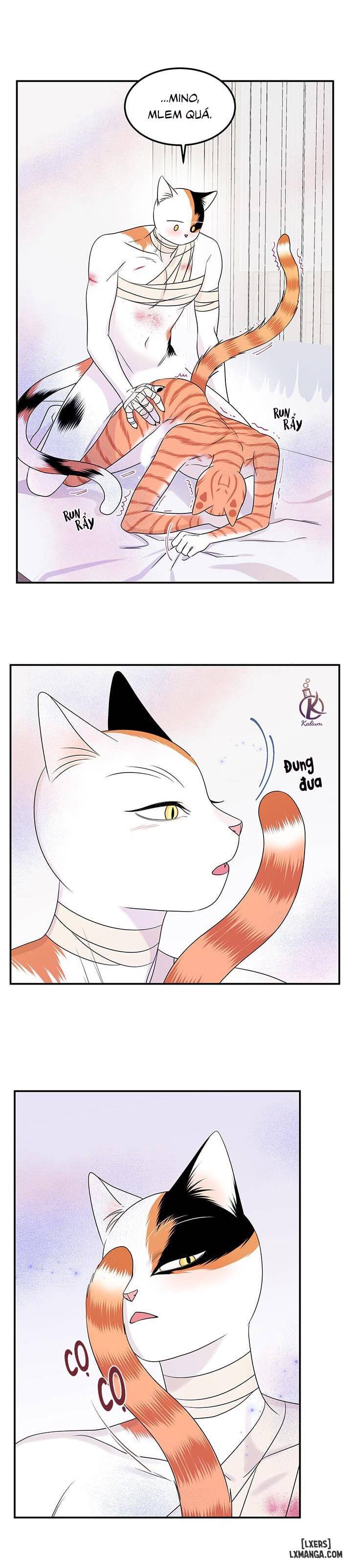 HentaiVN.net - Ảnh 16 - Dự án xanh - Chap 23