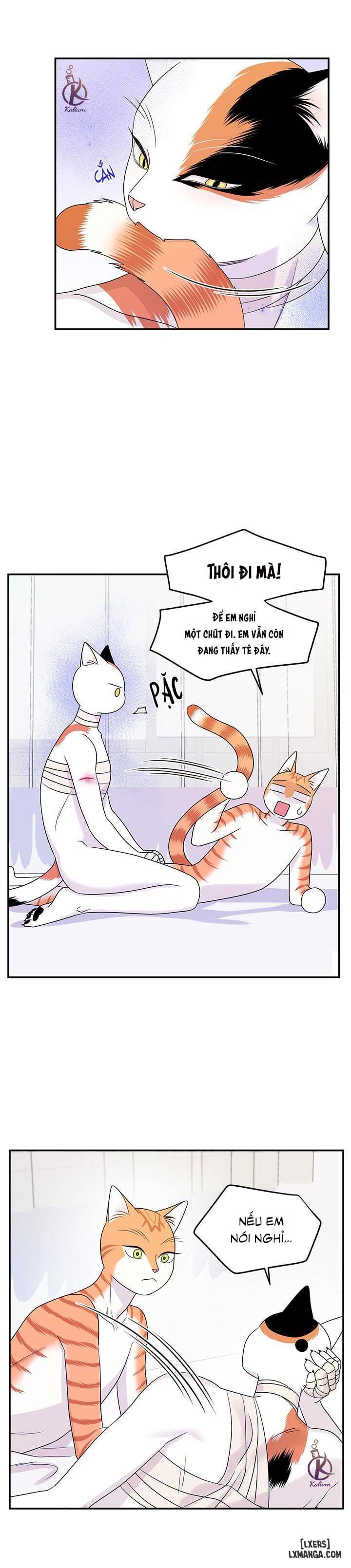 HentaiVN.net - Ảnh 17 - Dự án xanh - Chap 23